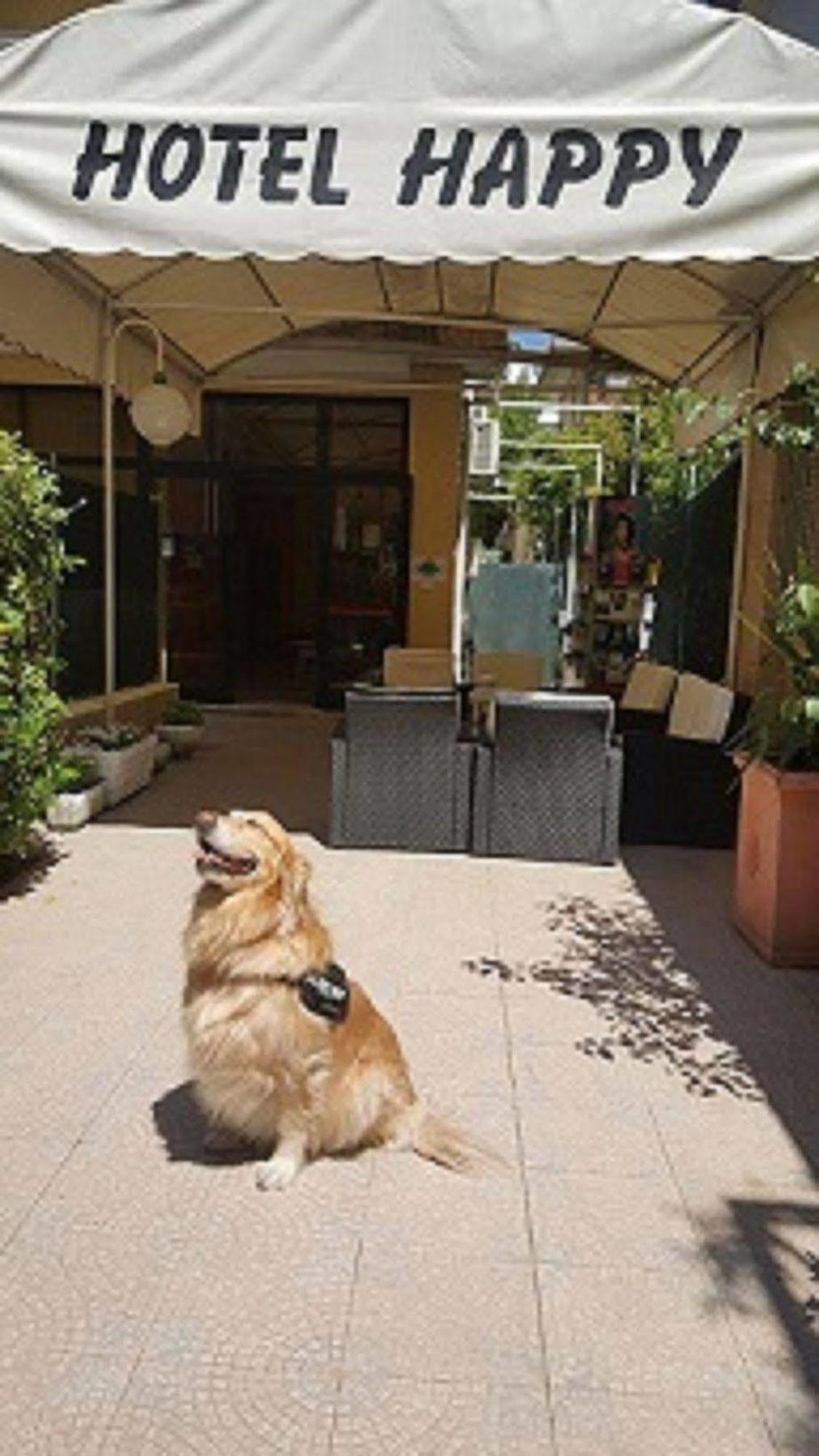 רימיני Hotel New Happy מראה חיצוני תמונה